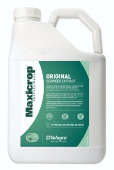 Maxicrop Original Seaweed Extract 10L