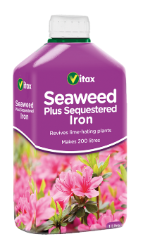 Seaweed + Iron