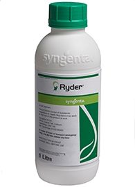 Ryder-pigment