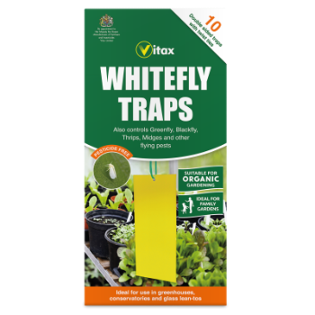 Whitefly Traps