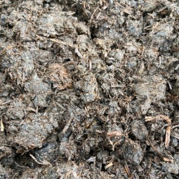 Rootmaster Tree Shrub Planting Soil Conditioner Compost