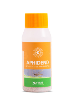 Aphidend - Aphidoletes aphidimyza
