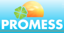 Promess-Logo