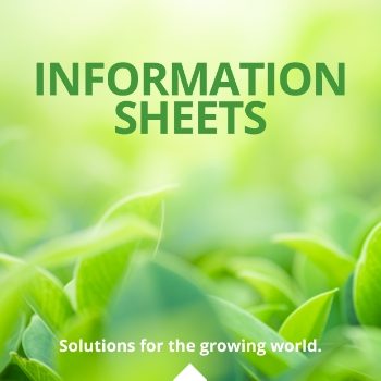 Information Sheets