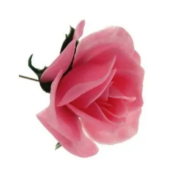 Rose Pink (x 100)