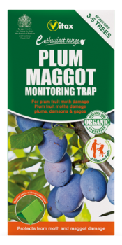 Plum Maggot Monitoring Trap