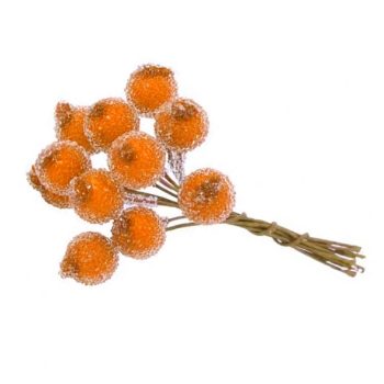 Frosted Orange Berry On Wire
