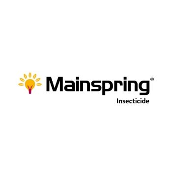 Mainspring Insecticide 300g