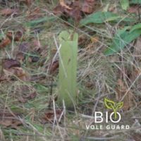 Vole Guard Tube 100% Bio Based