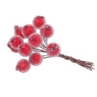 Frosted Red Berry On A Wire
