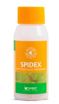 Spidex (Red Spider Mite) Pack