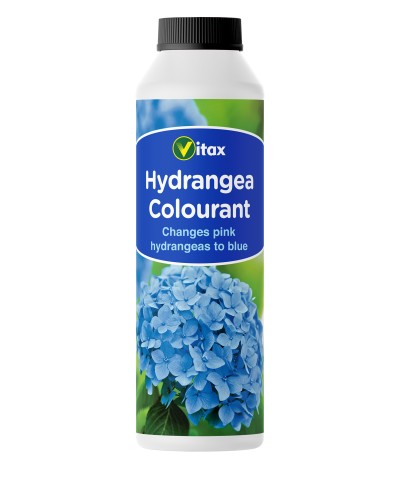 Hydrangea Colourant (12 x 250g)