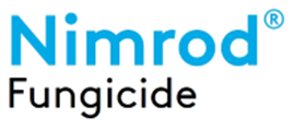 Nimrod-Logo