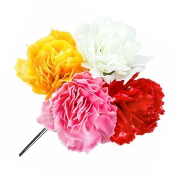 Carnations Assorted