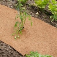 Biodegradable Mulch/Weed Roll