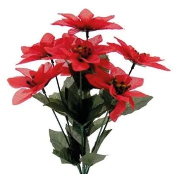Poinsettia Red - Bush With 7 Heads
