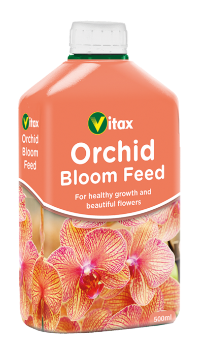 Orchid Bloom Feed (6 x 500ml)